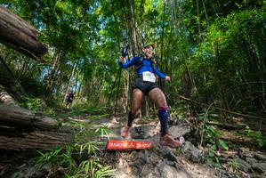 BIB: 
                            <button type="button" onclick="openModal(19388516)" class="btn btn-primary btn-sm float-right btn-popup" data-toggle="modal" data-target=".modal-high-quality">
                        <i class="fas fa-shopping-cart"></i> Add to Cart
                    </button>
                                            <button type="button" onclick="isThisMe(19388516, true)" class="btn btn-success btn-sm float-right btn-popup btn-isme hidden" data-toggle="tooltip" data-placement="bottom" title="นี่คือรูปของคุณใช่ไหม คลิกที่นี่เพื่อเอาเข้าอัลบั้ม">
                        <i class="fas fa-plus"></i> Add to album
                    </button>
                    <button type="button" onclick="isThisMe(19388516, false)" class="btn btn-warning btn-sm float-right btn-popup btn-isnotme hidden">
                        <i class="fas fa-ban"></i> Remove from album
                    </button>